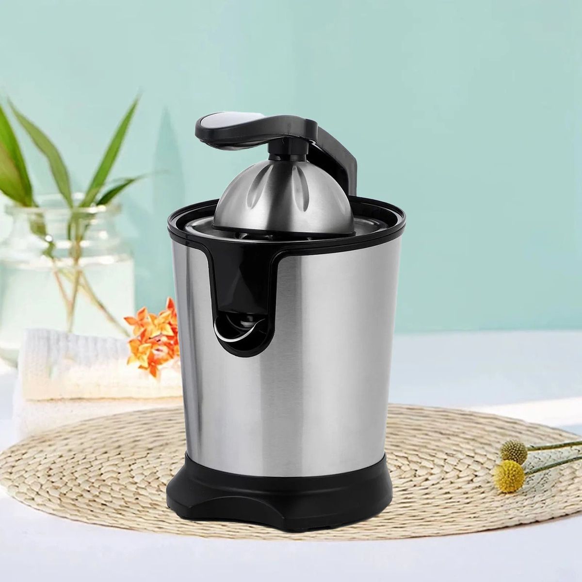 Masticating vs Centrifugal Juicer
